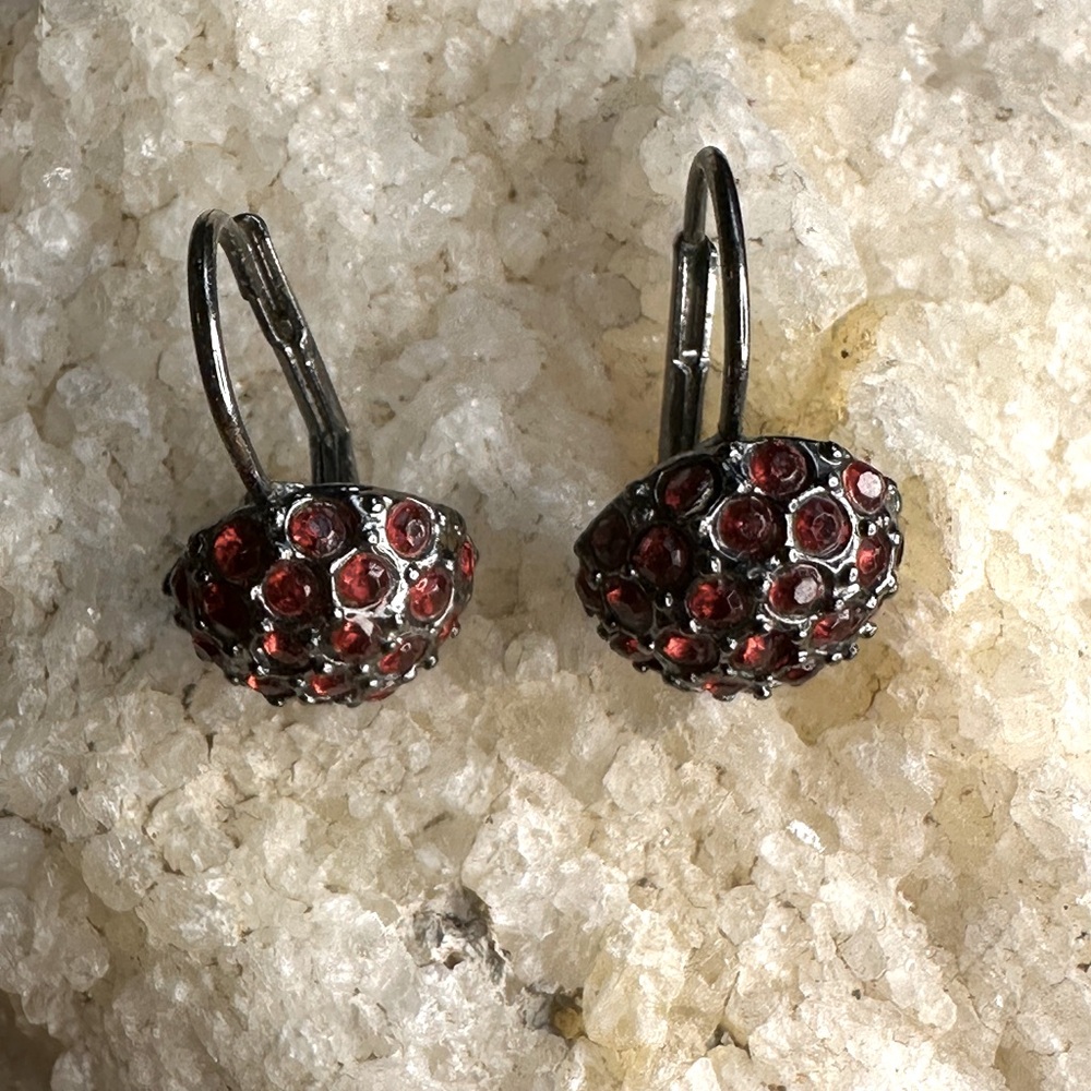 Garnet & Black Metal Earrings